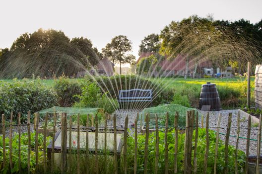Klimaatadaptieve tuin in Nijkerk met veel groen, regenton, pergola en waterdoorlatende bestrating