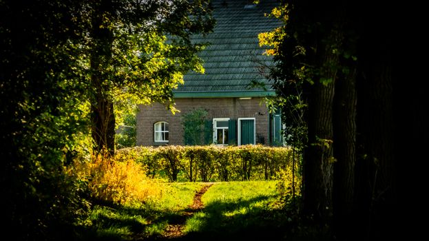 Tiny house in een achtertuin in Nijkerk met aandacht voor regels en vergunningen